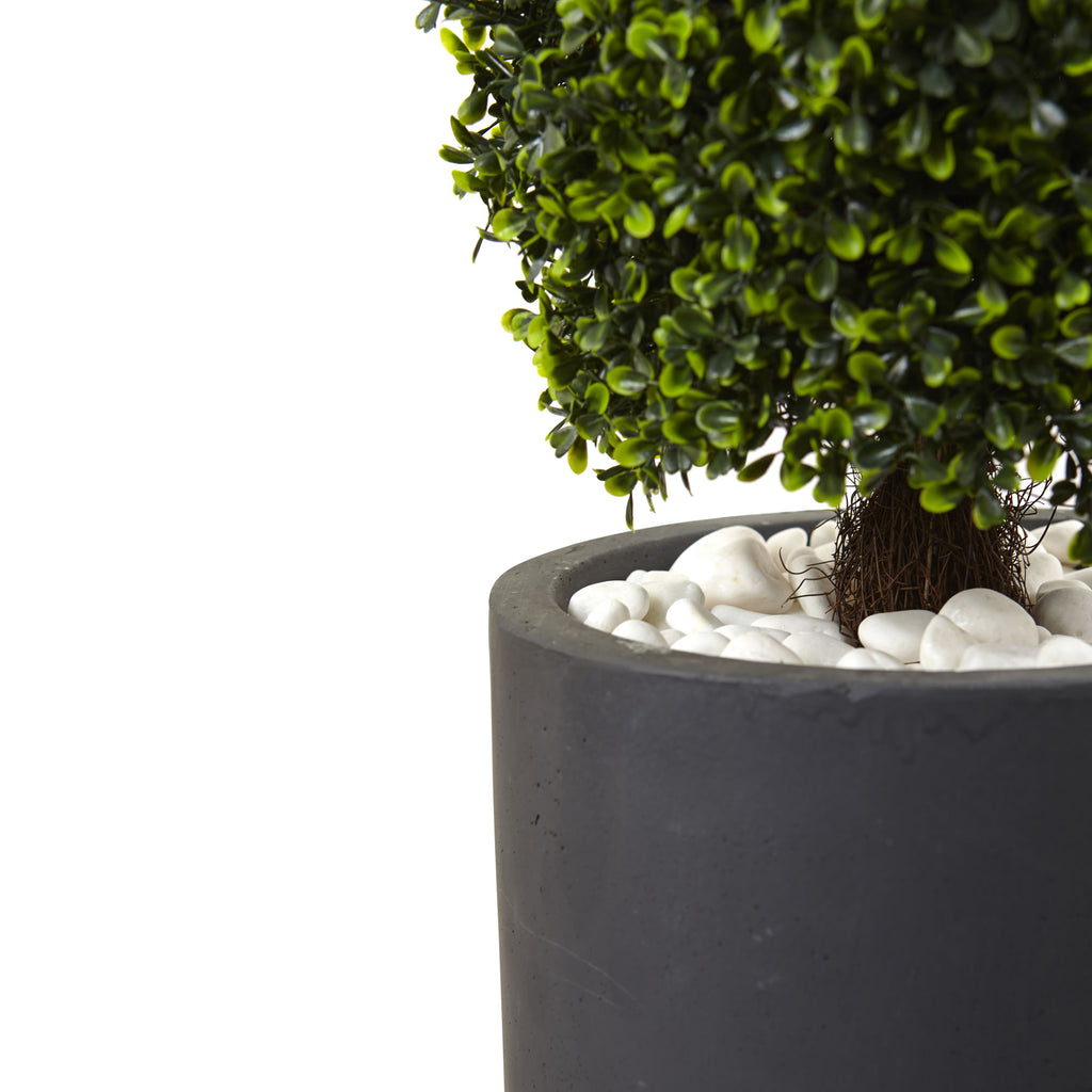 50" Boxwood Topiary w/Gray Plntr UV Rest (Indoor/Outdoor)