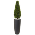 50" Boxwood Topiary w/Gray Plntr UV Rest (Indoor/Outdoor)