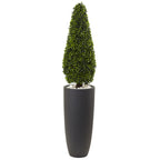 50" Boxwood Topiary w/Gray Plntr UV Rest (Indoor/Outdoor)