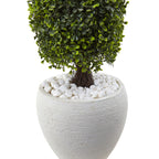 41" Boxwood Top with White Planter UV Rest (Indoor/Outdoor)