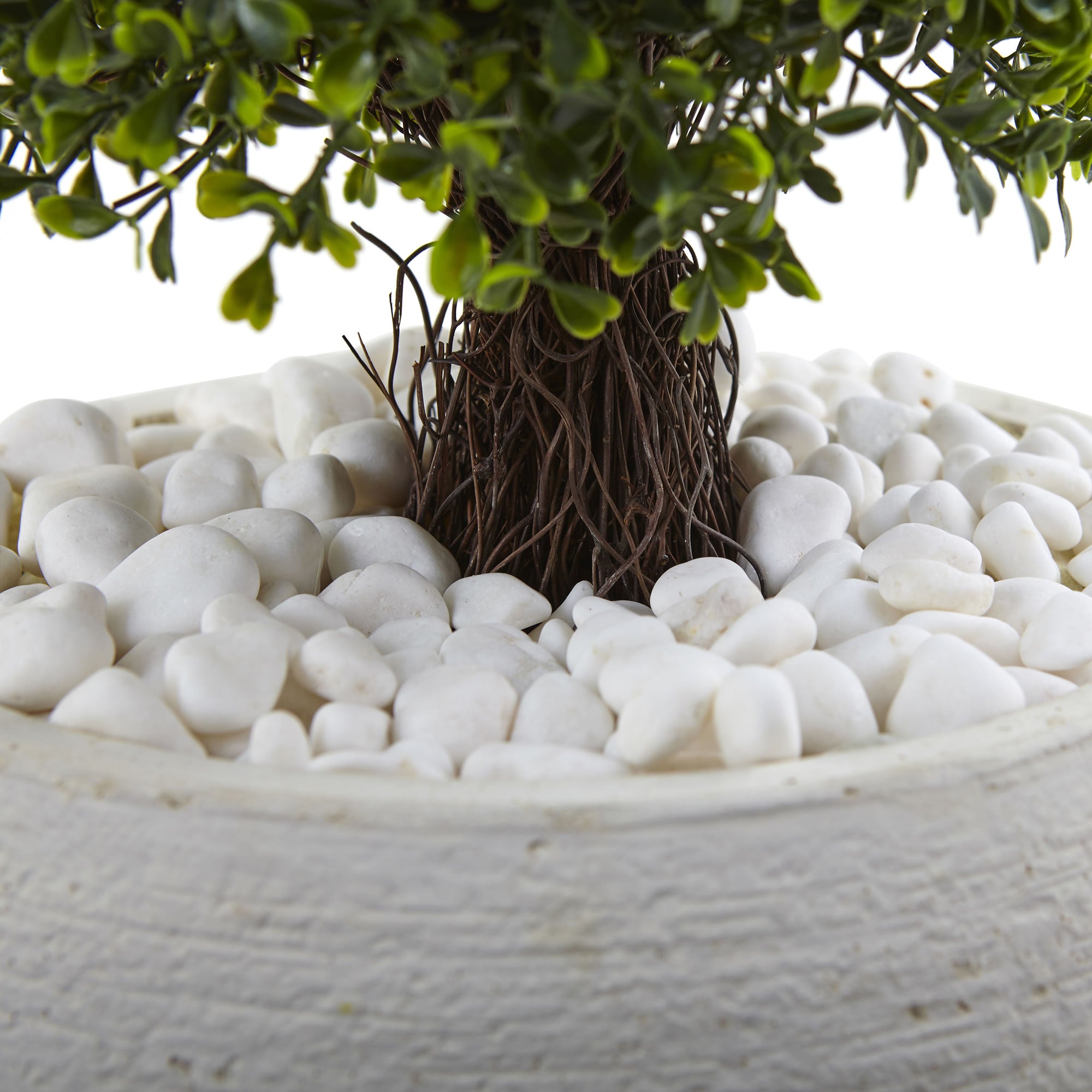 41" Boxwood Top with White Planter UV Rest (Indoor/Outdoor)