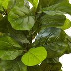 4.5' Fiddle Leaf Fig in White Planter (Real Touch)