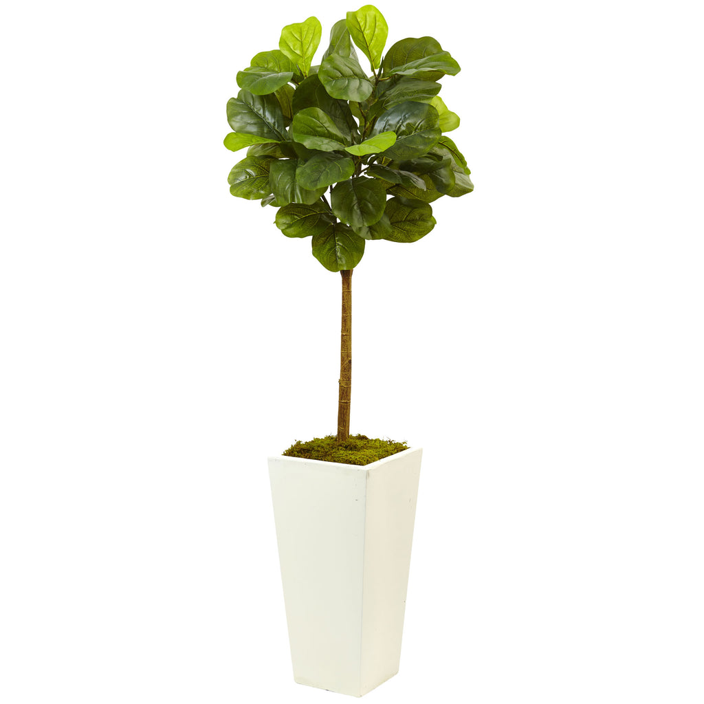 4.5' Fiddle Leaf Fig in White Planter (Real Touch)