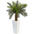3' Cycas Tree in White Tower Planter