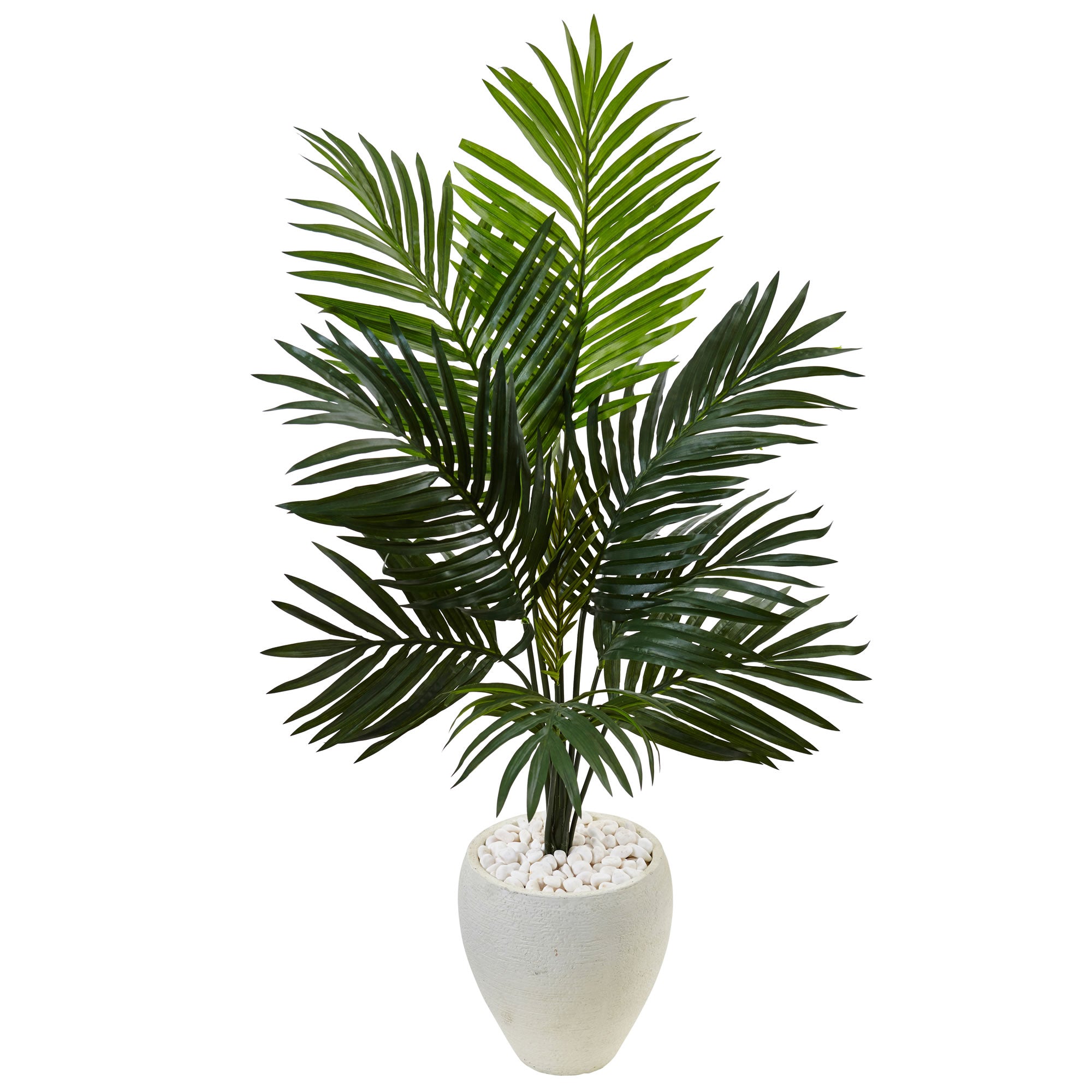 4.5' Kentia Palm Tree in White Oval Planter