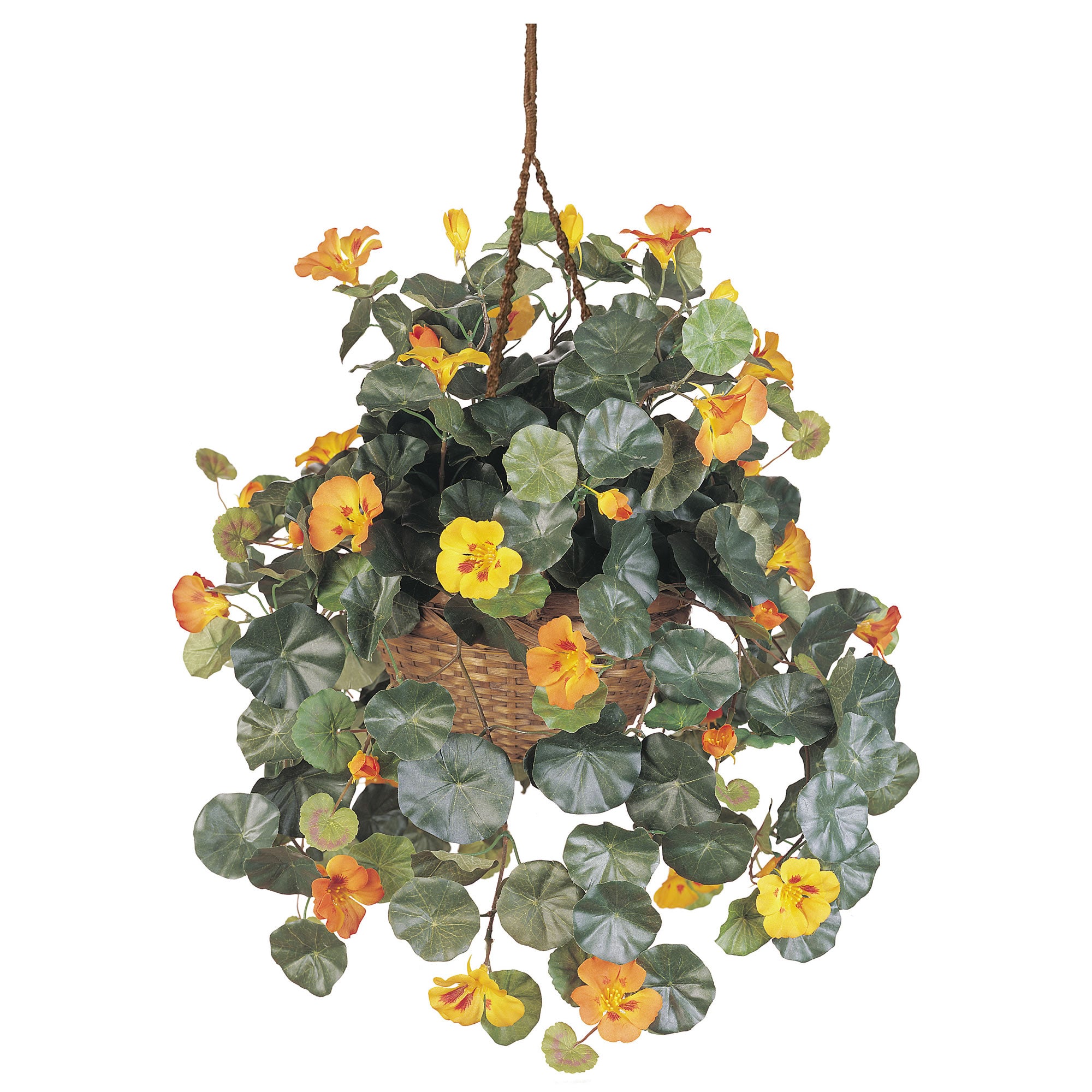 22" Nasturtium Hanging Basket
