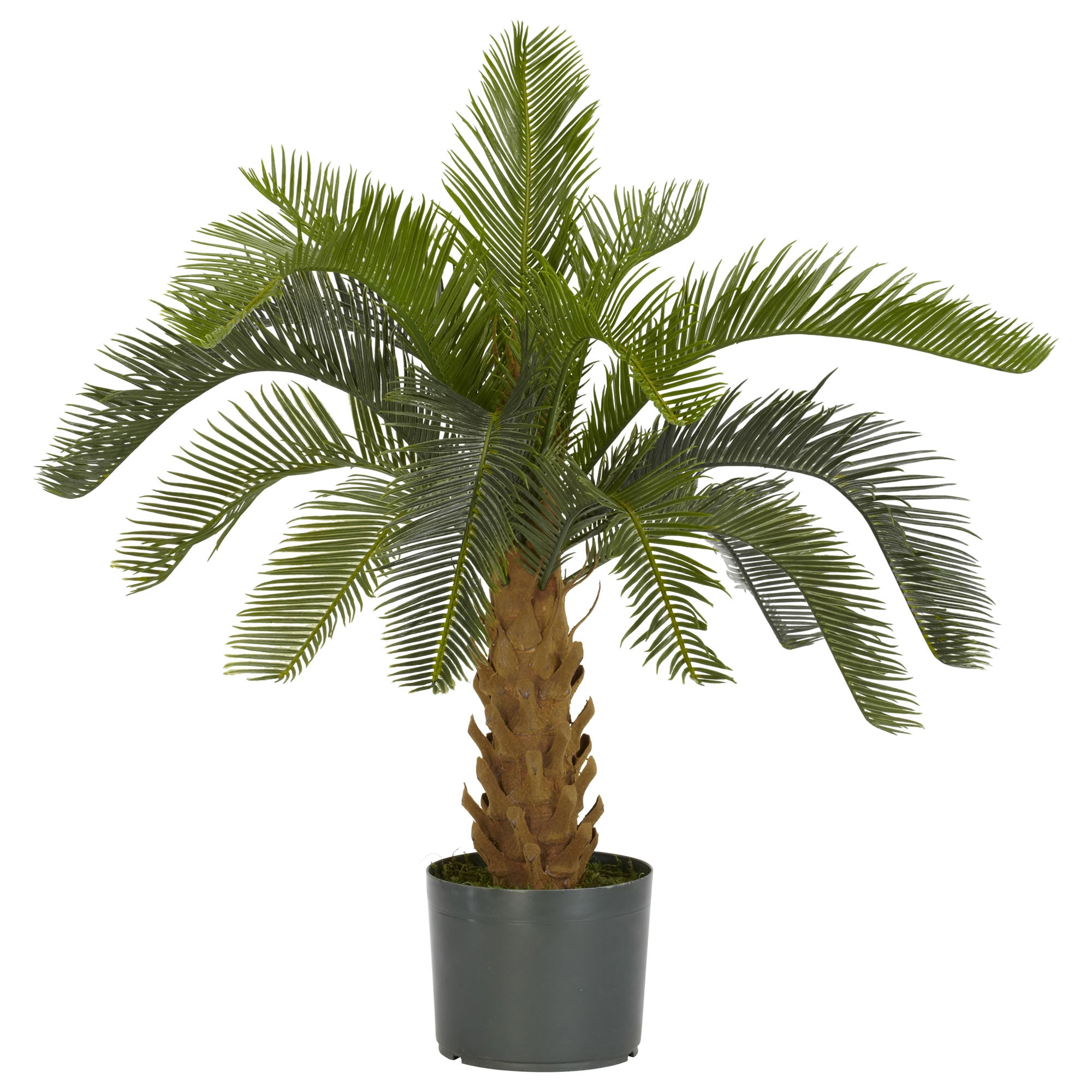28" Plastic Cycas (Foam Trunk) Tree w/16 Lvs