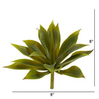5" Mini Agave w/19 Lvs (Set of 12)