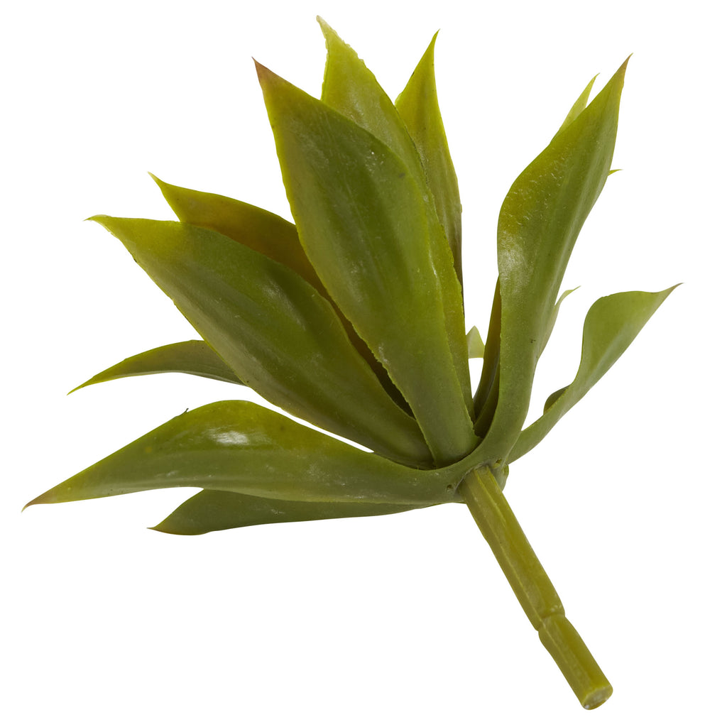 5" Mini Agave w/19 Lvs (Set of 12)