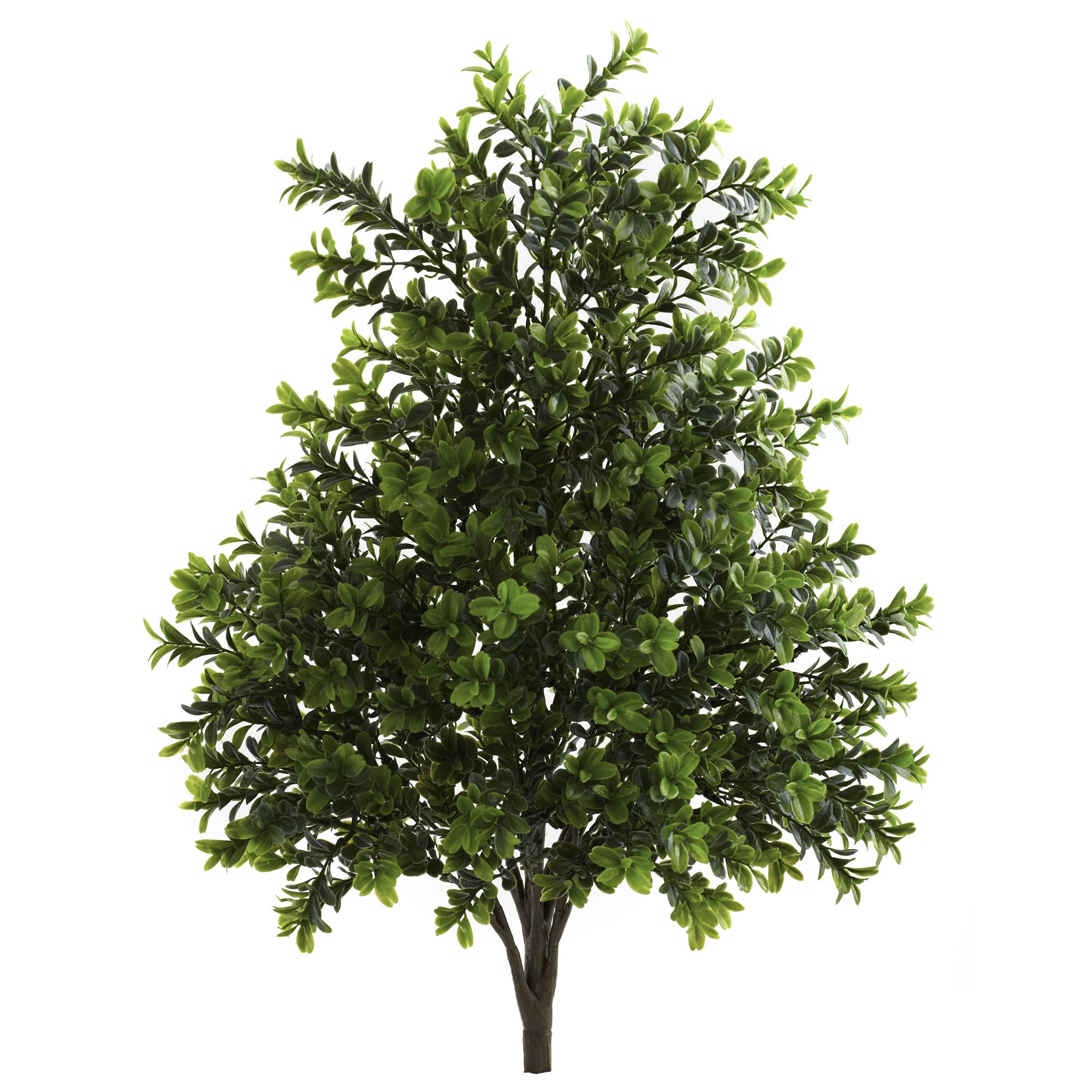 23" Sweet Grass Bush (Set of 2) (Indoor/Outdoor)