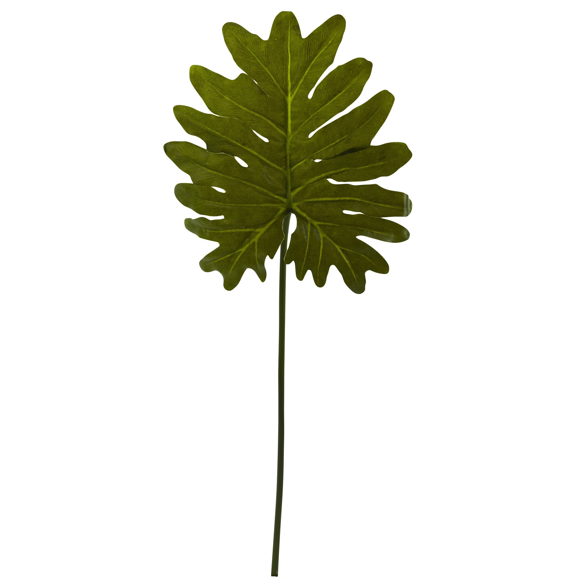 31" Selloum Philo Single Leaf Stem (Set of 12)