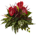24" Mixed Anthurium Bush (Set of 2)