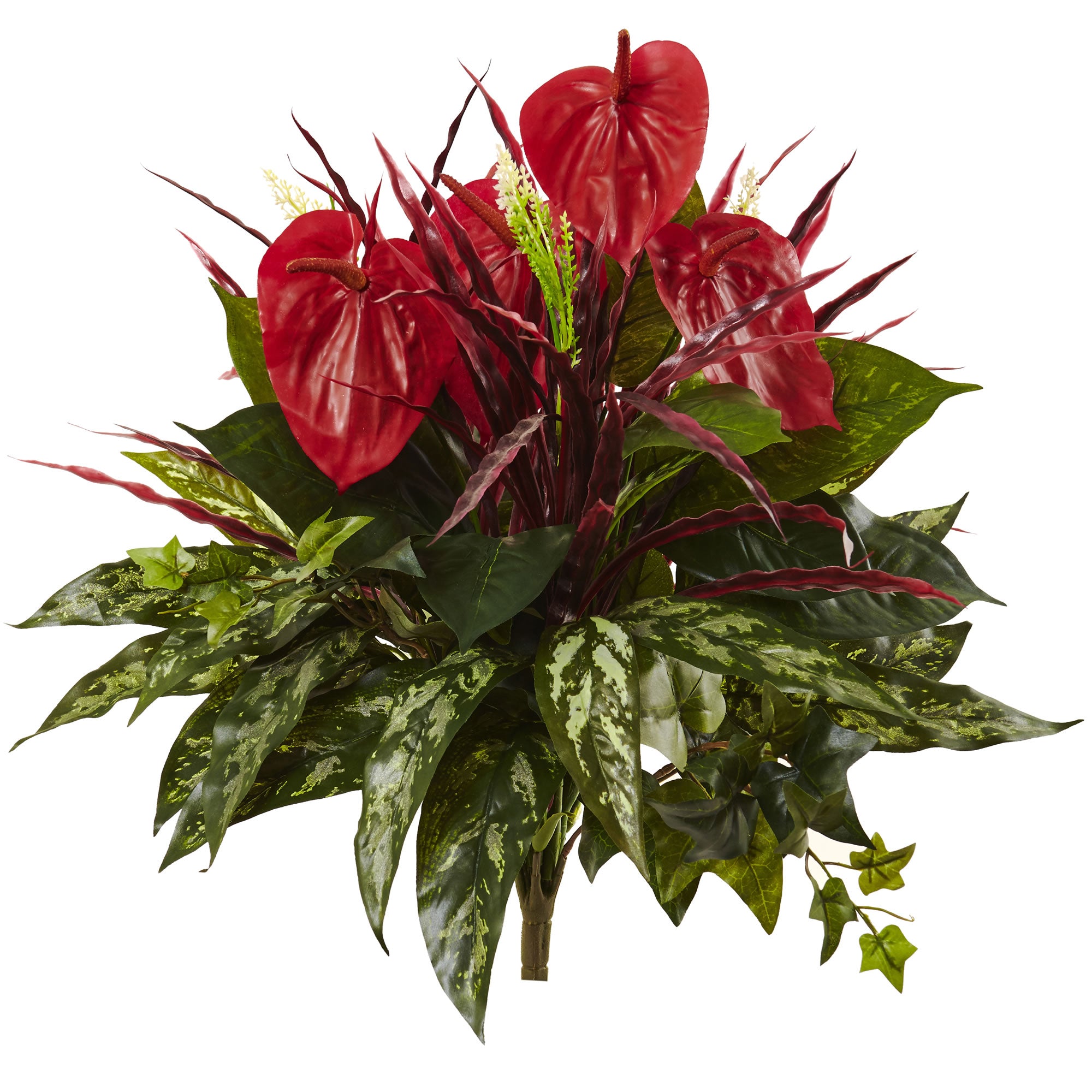 24" Mixed Anthurium Bush (Set of 2)