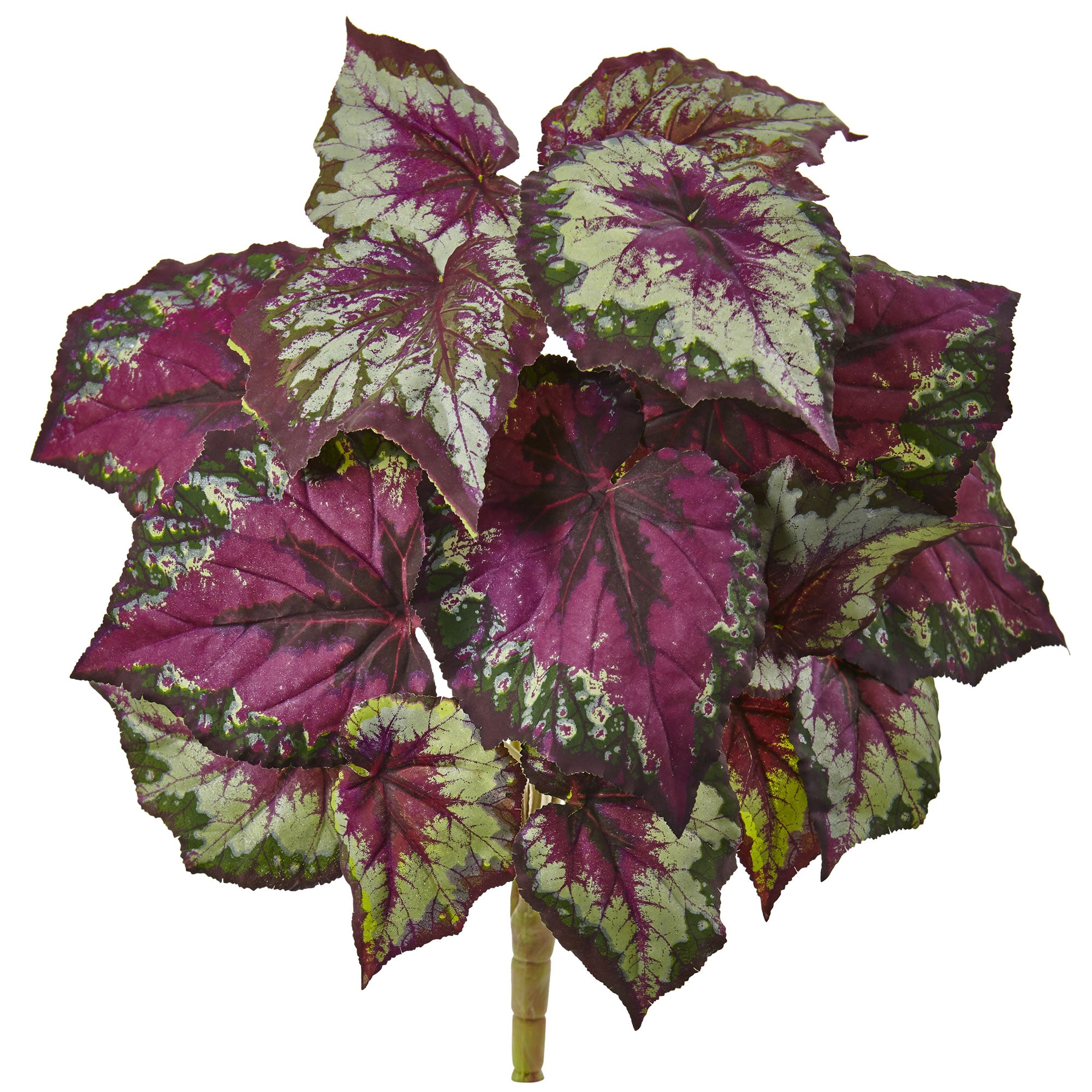 16" Wax Begonia Bush (Set of 6)