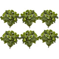 16" Pothos Artificial Plant (Set of 6)