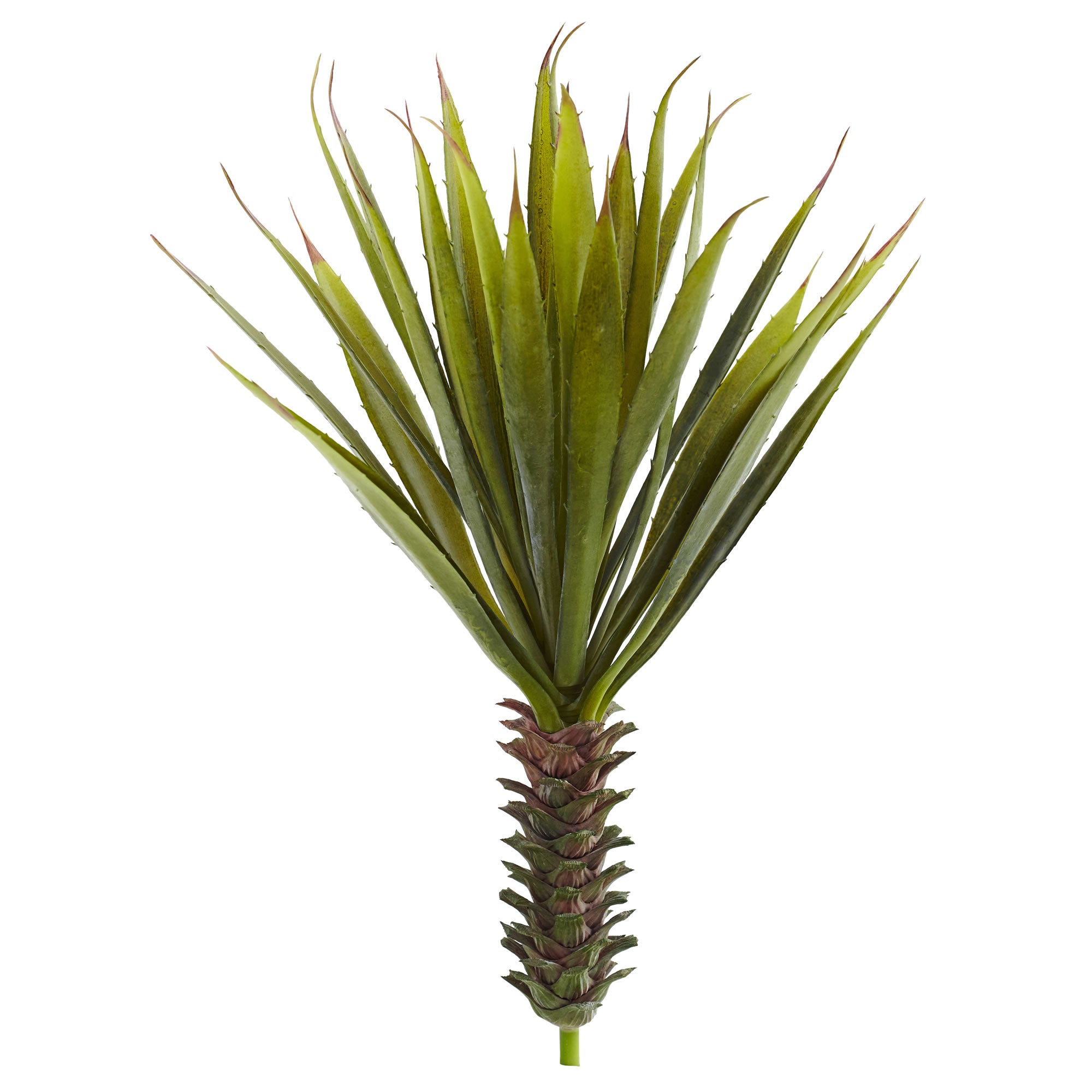 18" Spiky Agave Plant (Set of 2)