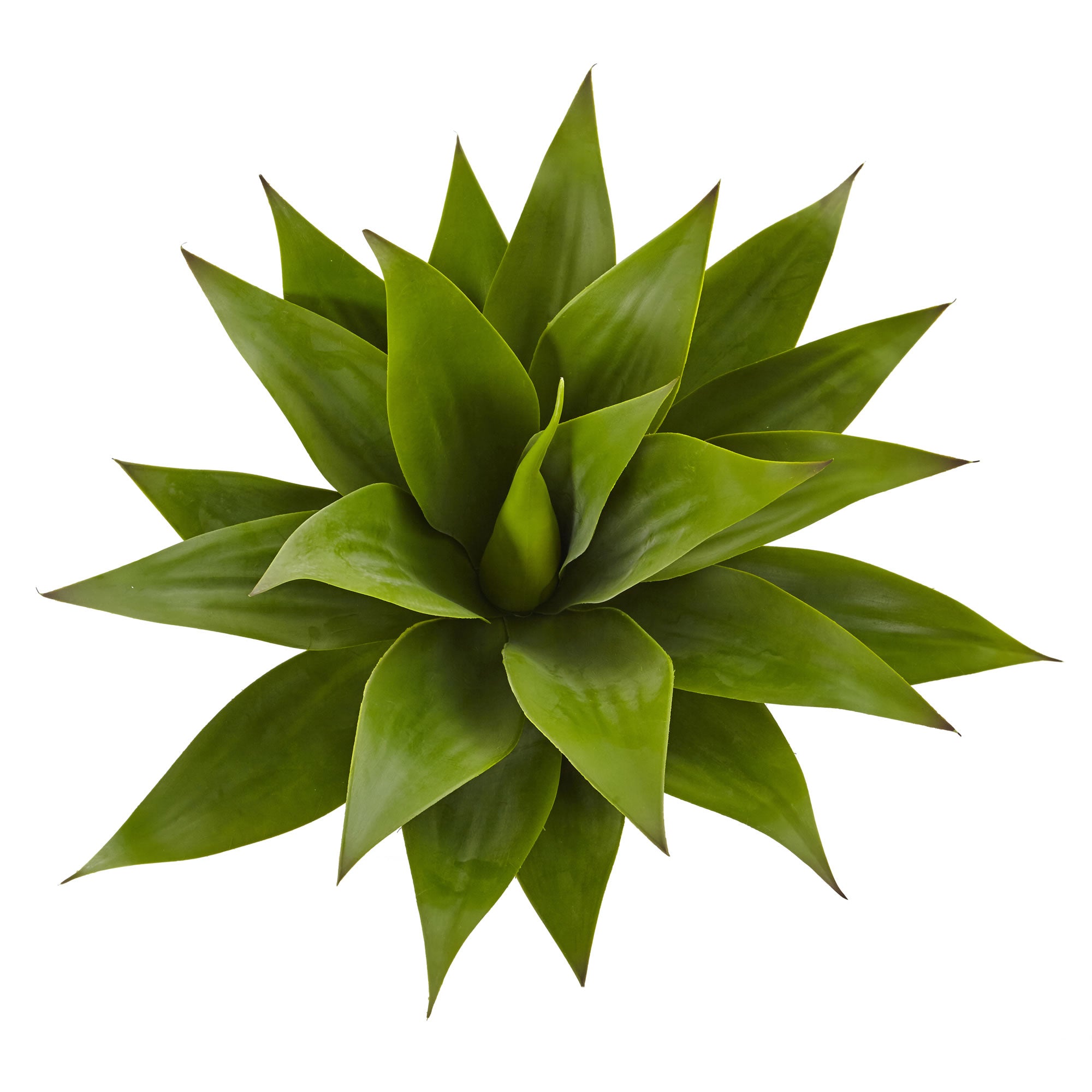 32" Agave Plant w/23 Lvs x 3 Section Stem