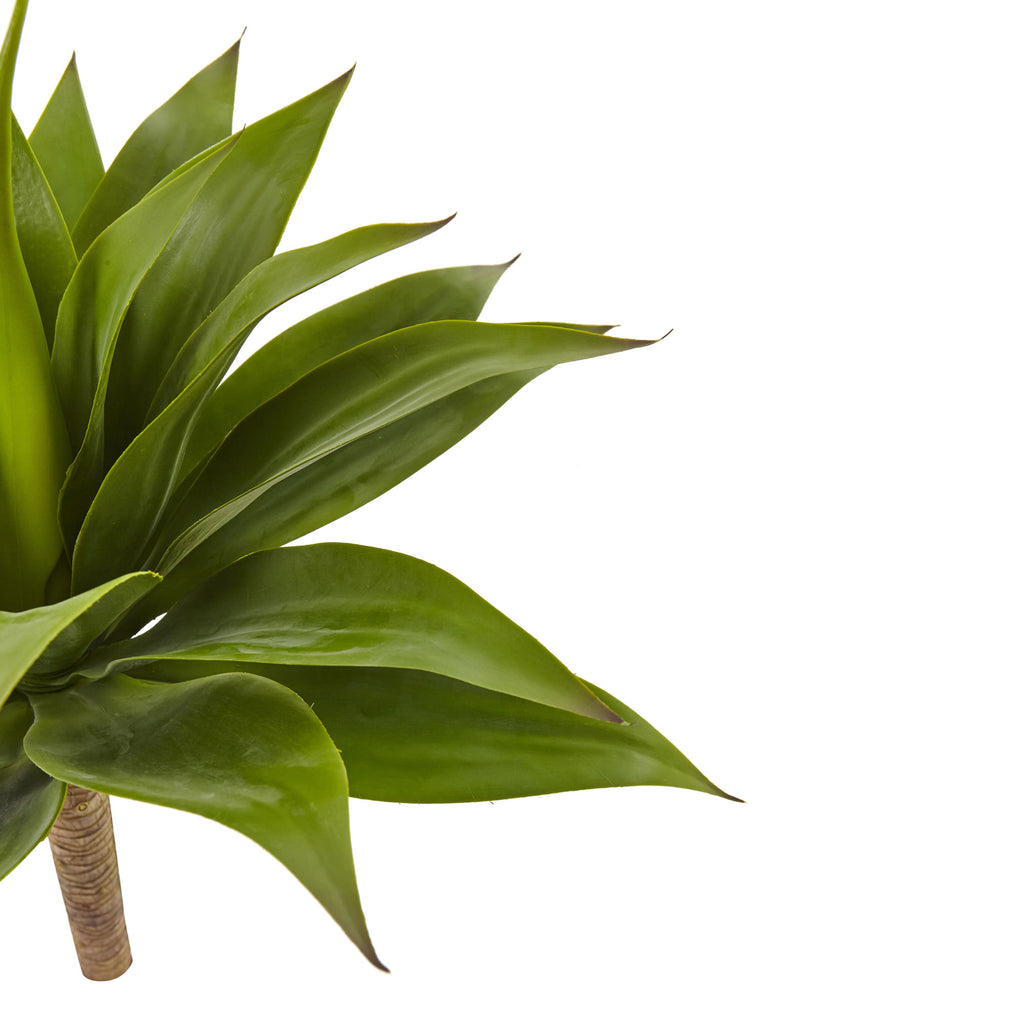 32" Agave Plant w/23 Lvs x 3 Section Stem