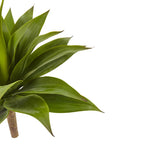32" Agave Plant w/23 Lvs x 3 Section Stem