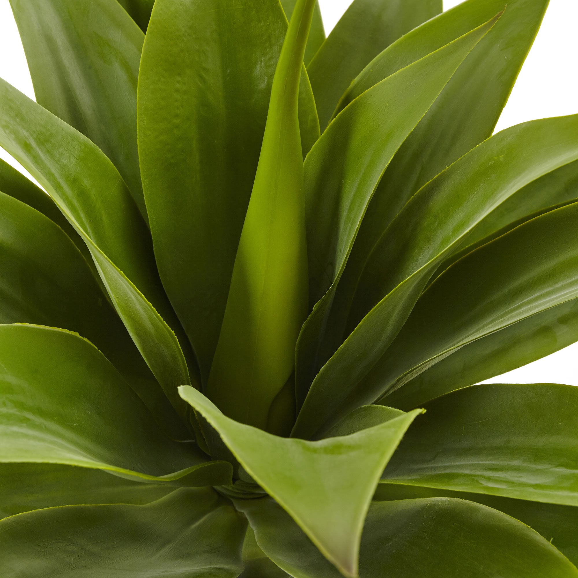 32" Agave Plant w/23 Lvs x 3 Section Stem