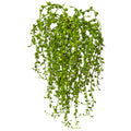 15" Senecio Succulent (Set of 3)