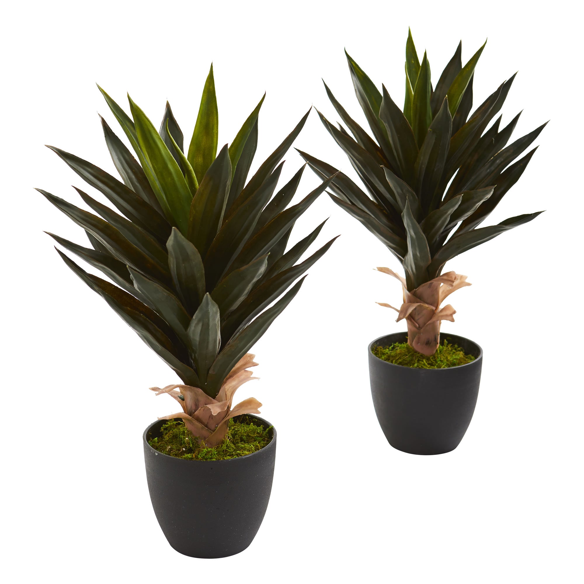 20" Agave Artificial Plant (Set of 2)