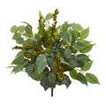 14" Mixed Ficus Fittonia and Berries Bush (Set of 6)