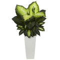 34" Golden Dieffenbachia Plant in White Tower Planter