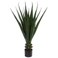 45" Agave Plant