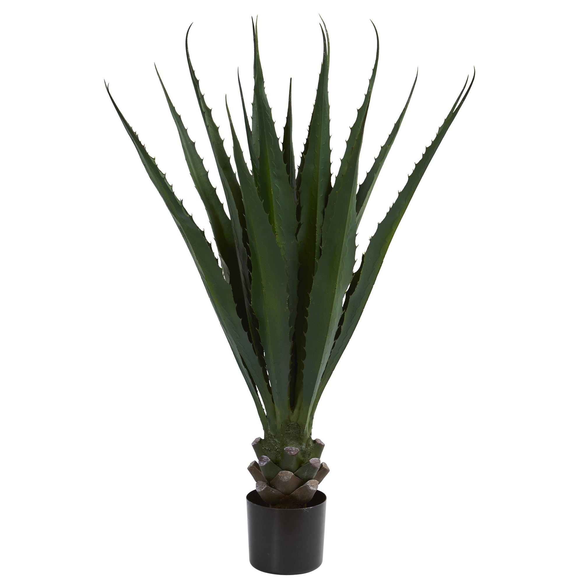 45" Agave Plant