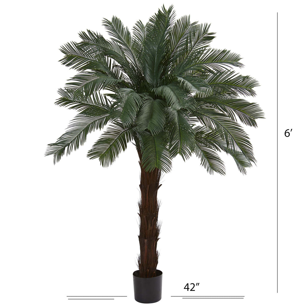 6' Cycas Tree UV Resistant (Indoor/Outdoor)