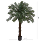 6' Cycas Tree UV Resistant (Indoor/Outdoor)