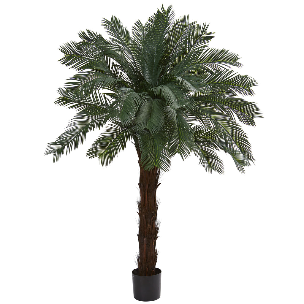 6' Cycas Tree UV Resistant (Indoor/Outdoor)