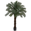 6' Cycas Tree UV Resistant (Indoor/Outdoor)