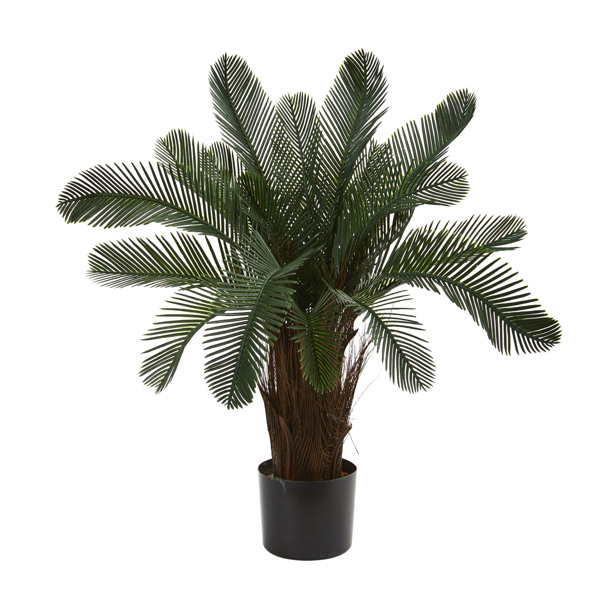 2' Cycas Tree UV Resistant (Indoor/Outdoor)