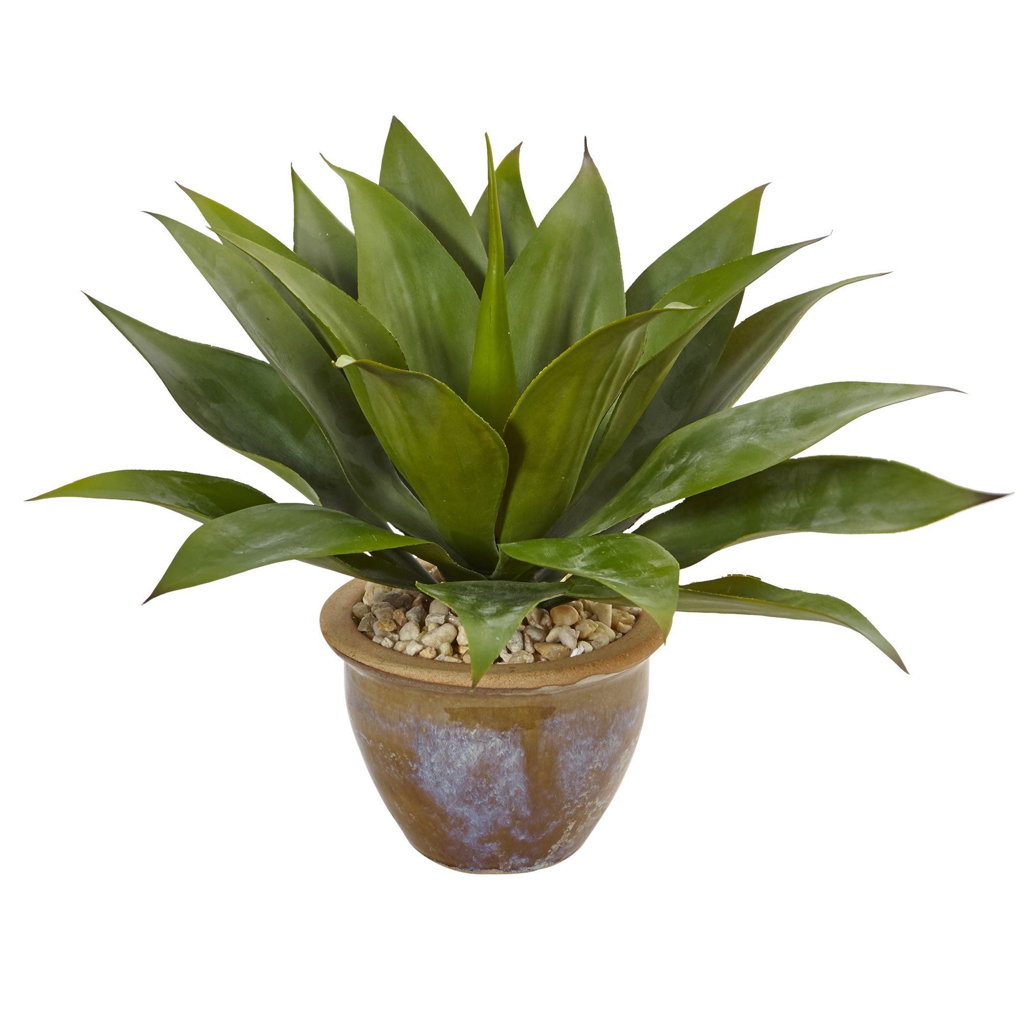 14" Agave in Glazed Clay Pot