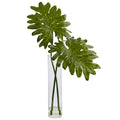 29" Philodendron in Cylinder Glass