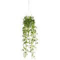 34" Tradescantia Hanging Basket