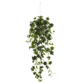 37" English Ivy Bush Hanging Basket