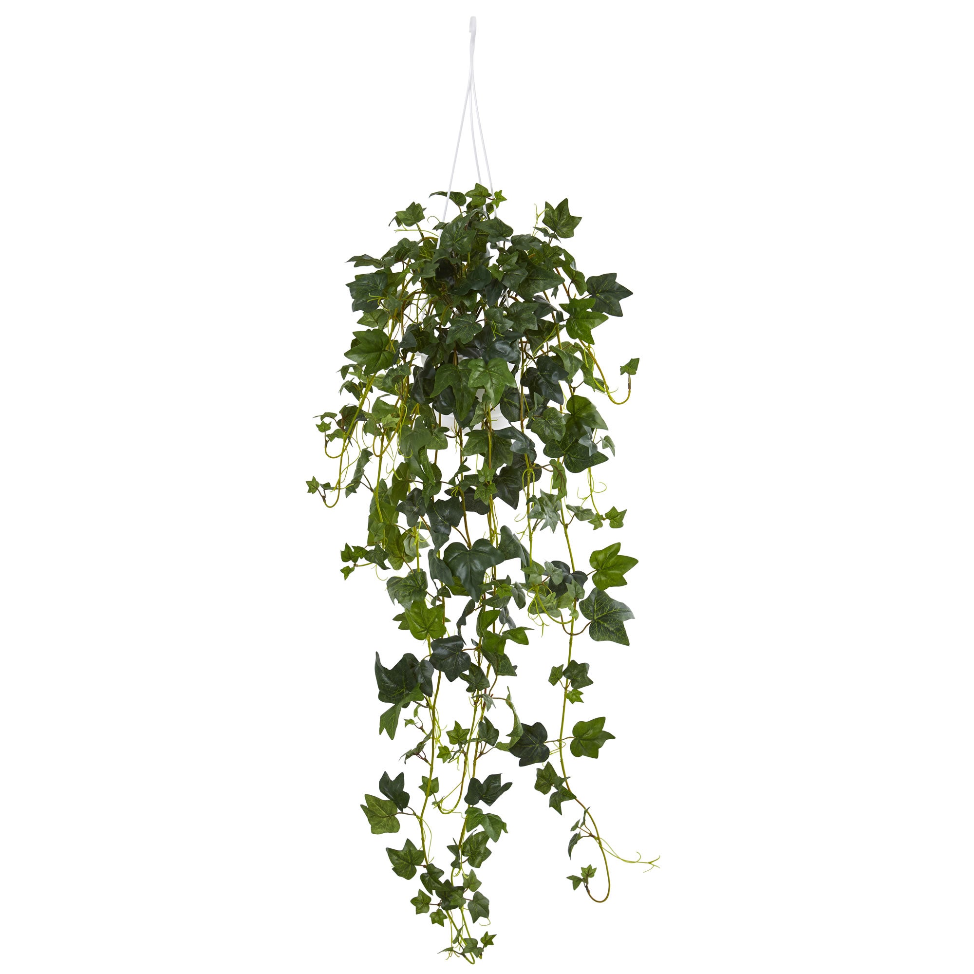 37" English Ivy Bush Hanging Basket