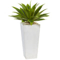 25" Agave in White Planter