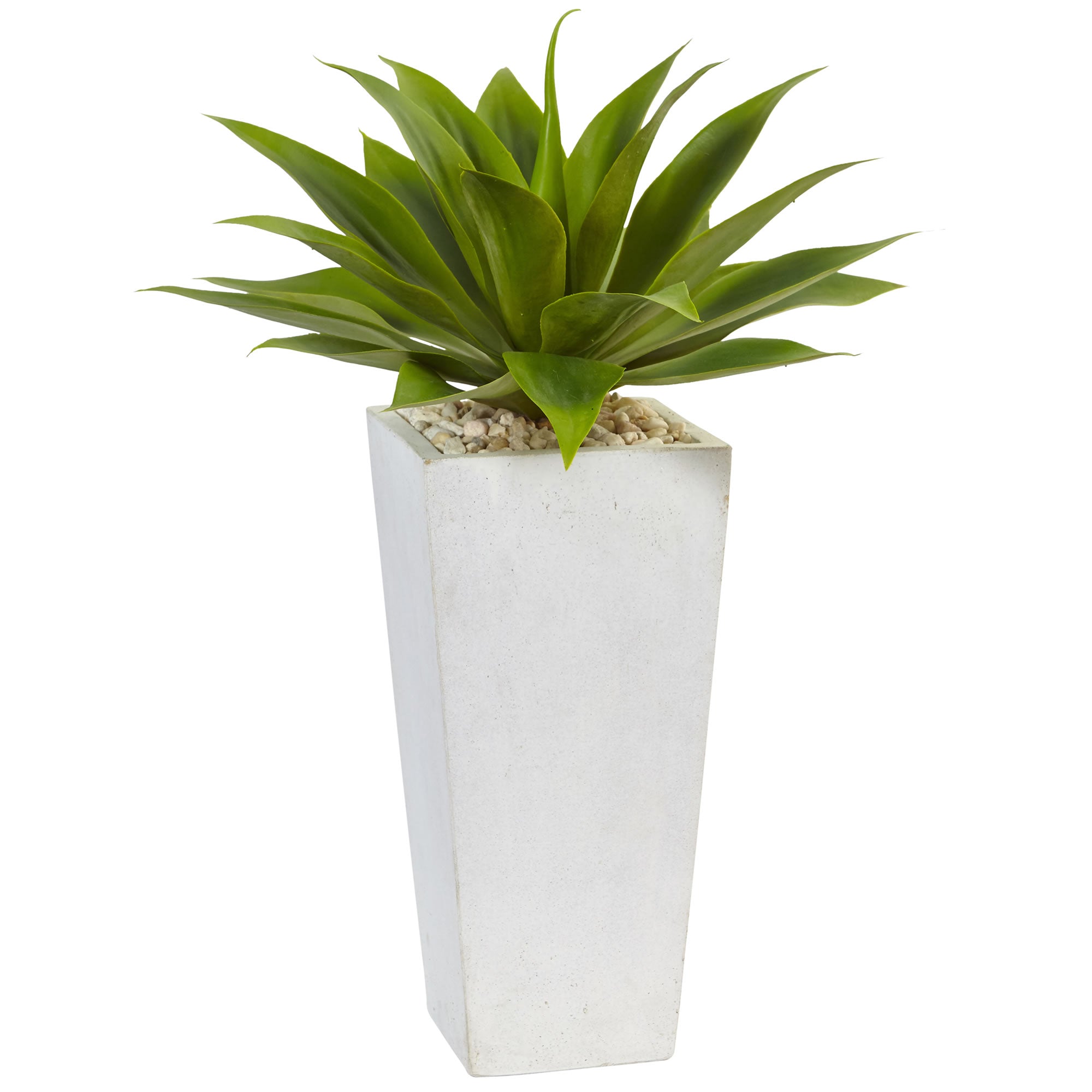 25" Agave in White Planter