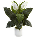 26" Spathifyllum in Glossy Glass Planter