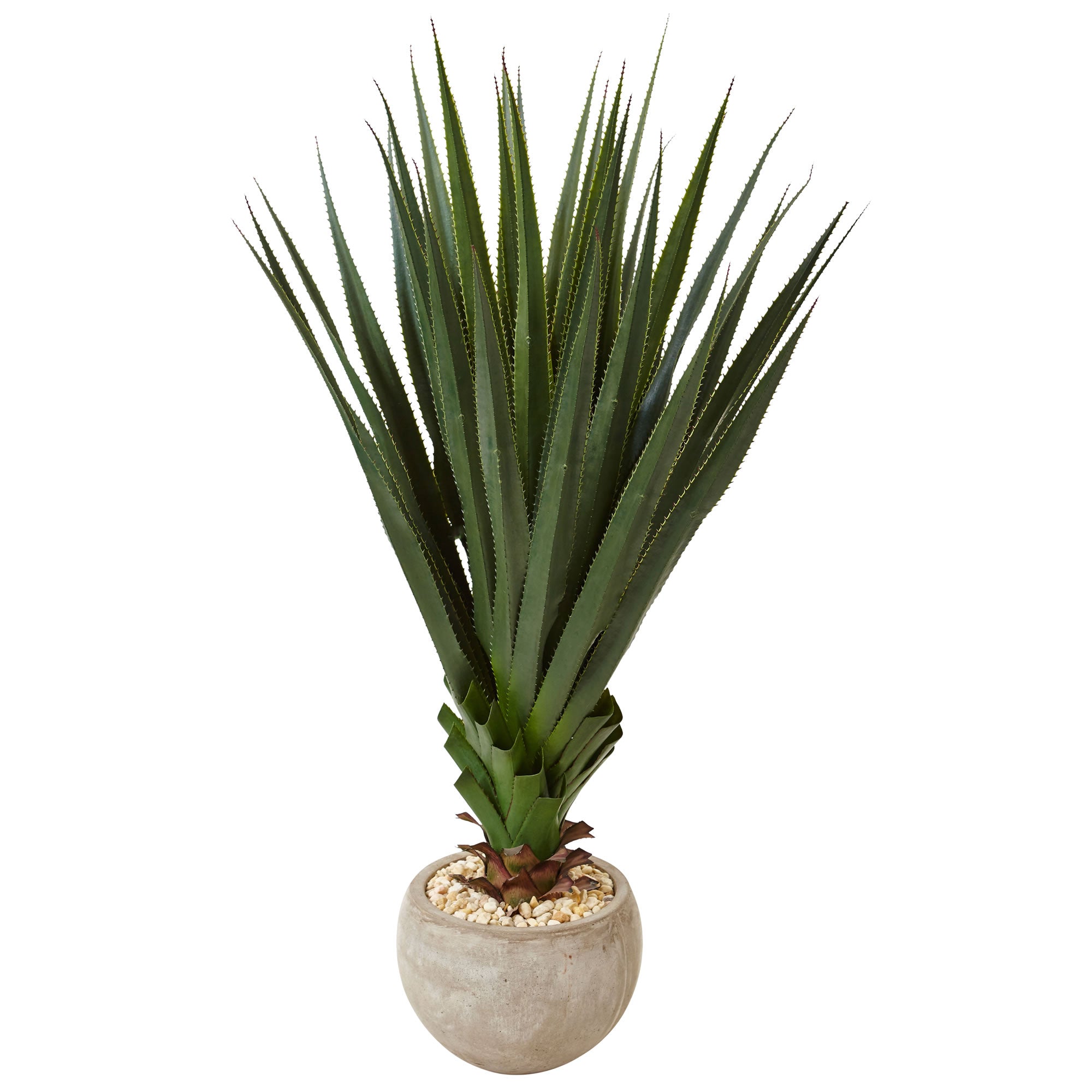4.5" Spiked Agave in Sand Colored Bowl (Indoor/Outdoor)