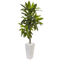 3' Dracaena Plant in White Tower Planter (Real Touch)