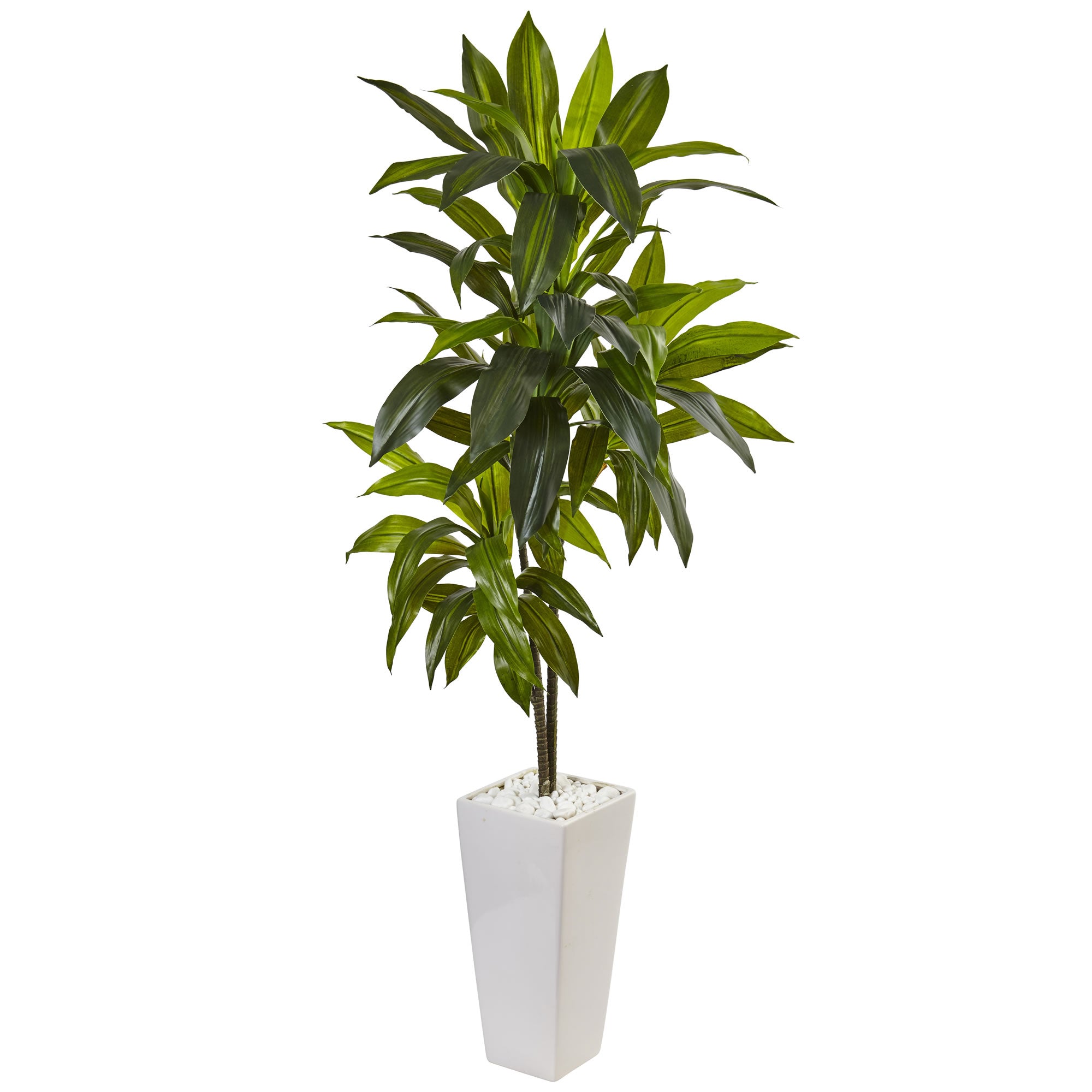 3' Dracaena Plant in White Tower Planter (Real Touch)