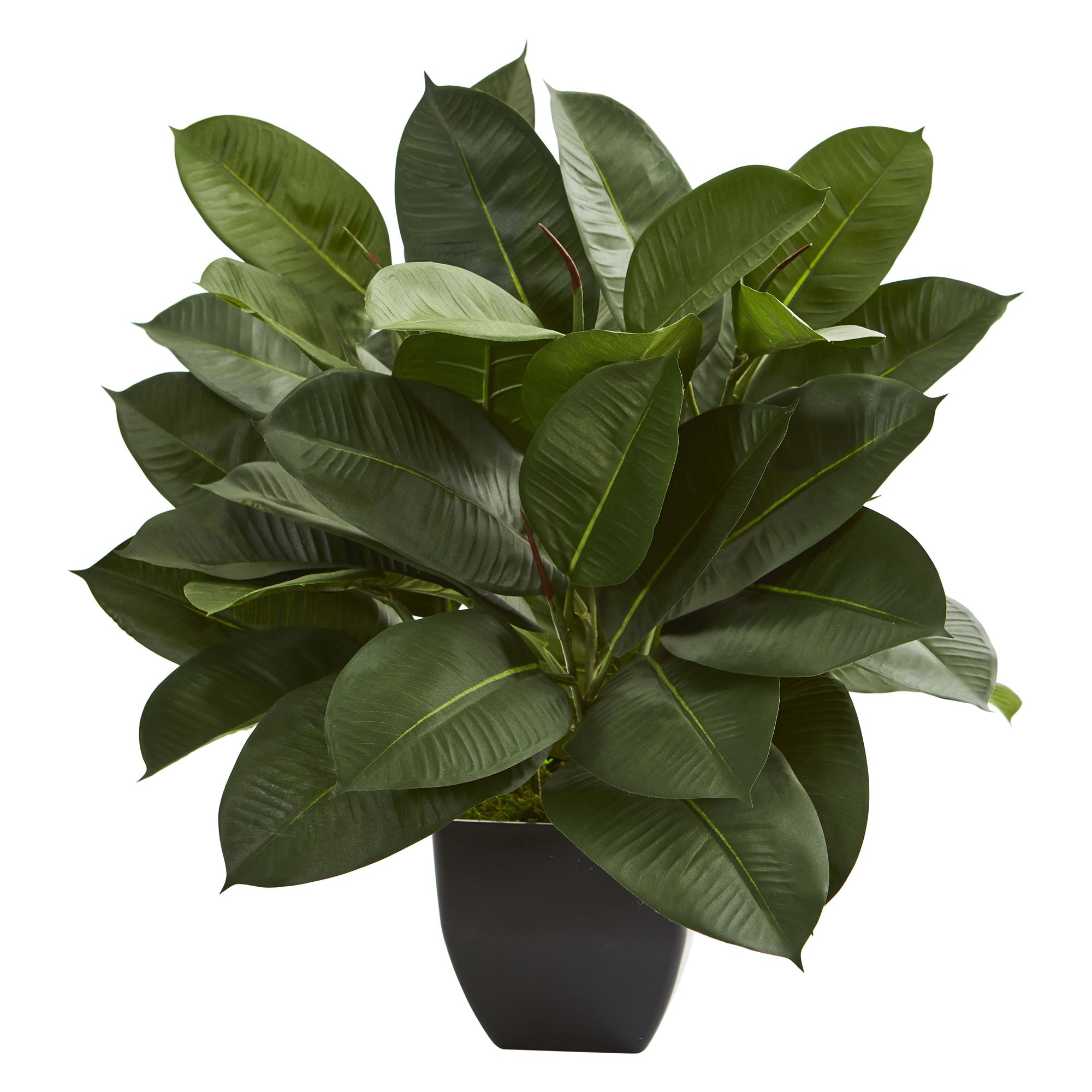 23" Oak Ficus Artificial Plant
