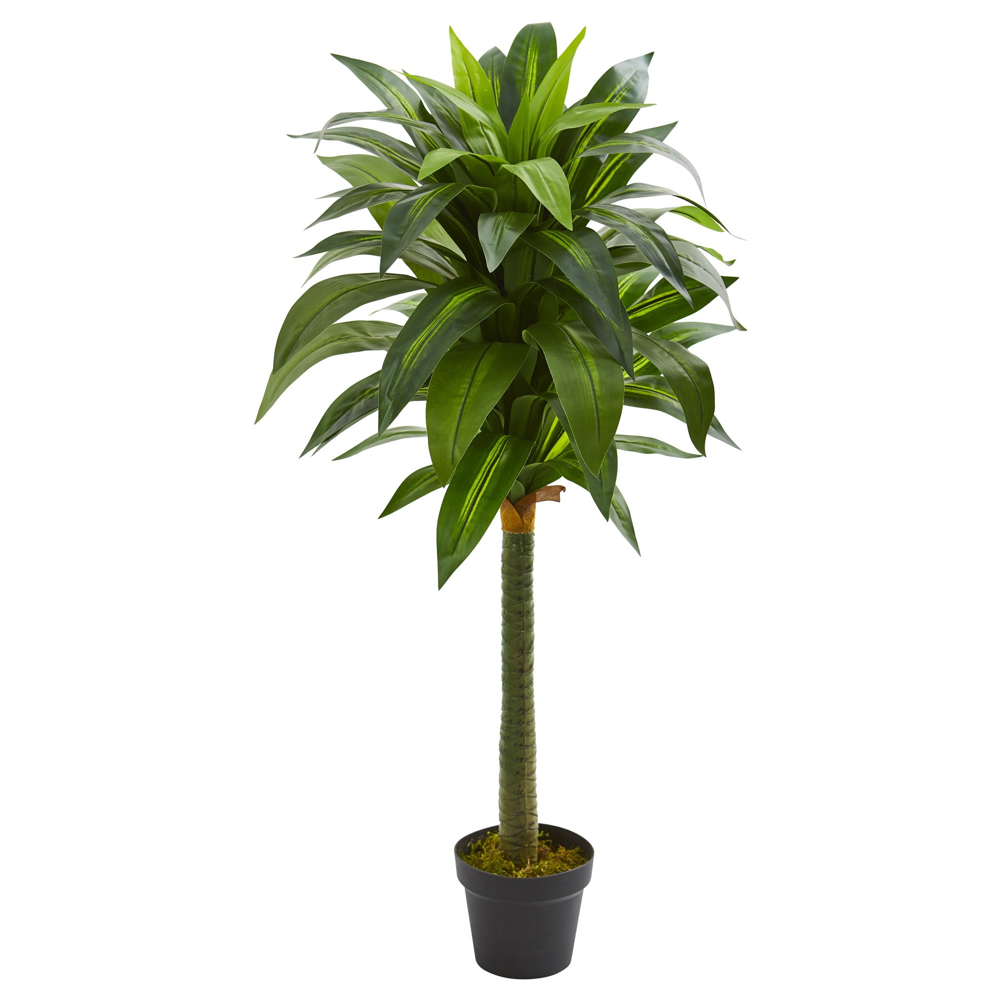 45" Dracaena Artificial Plant