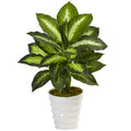 22" Dieffenbachia in Swirl Planter