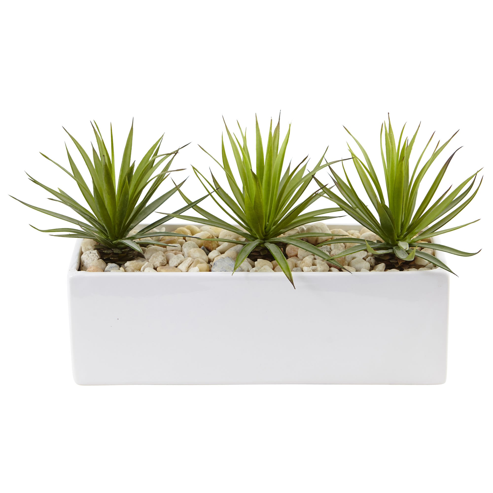 8" Mini Spiked Agave Succulent in Rectangular Planter